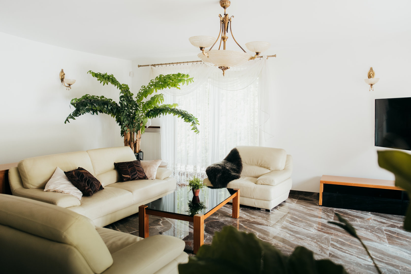 KOCPOL ALICJA KOCOŃ  - Zdjęcie 7